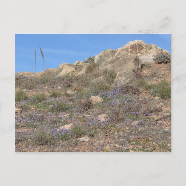 Cyprus Landscape Postcard (Front)