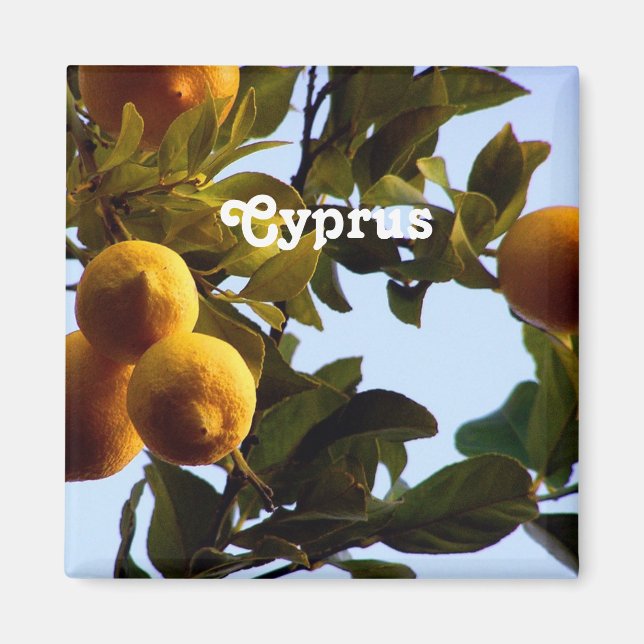 Cyprus Lemon Grove Magnet (Front)