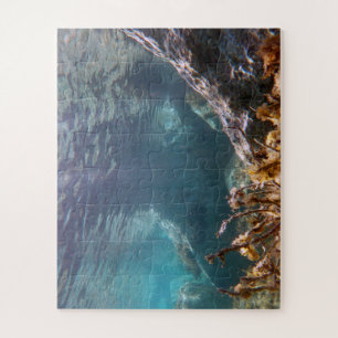 Cyprus nature sea underwater beach seasons summer jigsaw puzzle