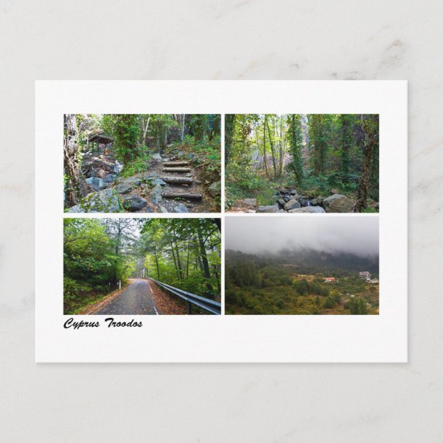 Cyprus Troodos Postcard (Front)