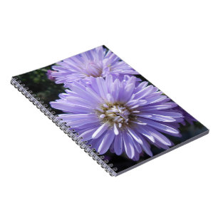 Cyrene Notebook