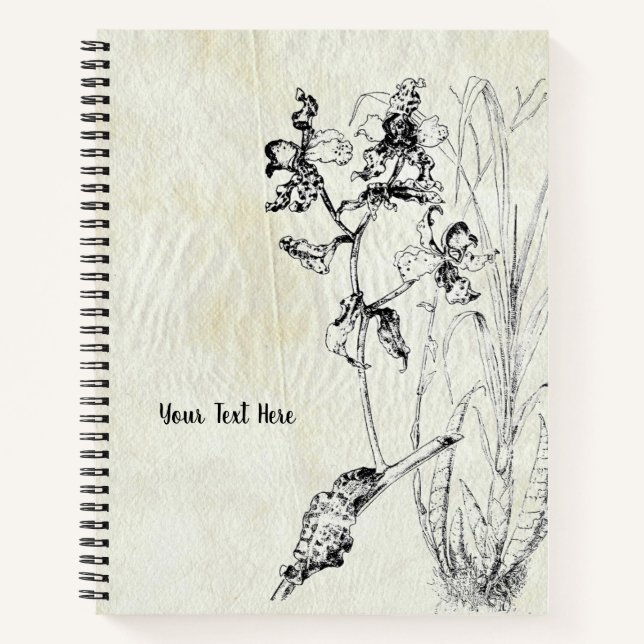 Cyrtopodium punctatum Orchid Notebook (Front)