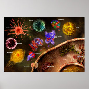 Cytokines poster