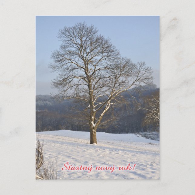 Czech Happy New Year postcard (Front)