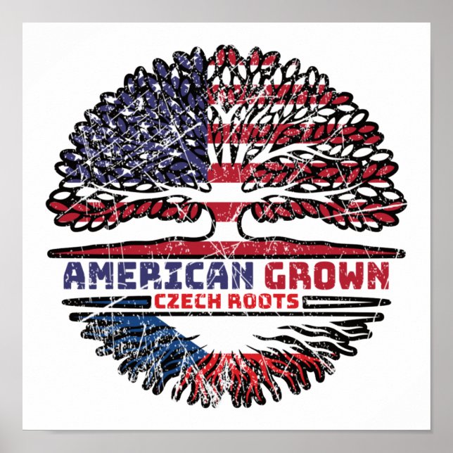 Czech Republic Czech US American USA United States Poster (Front)