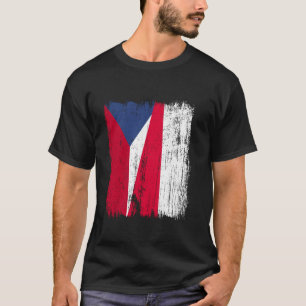 Czech Republic Poland Half Flag Czech Polish Ances T-Shirt