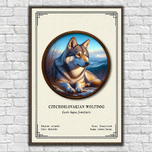 Czechoslovakian Wolfdog Zoology Series Poster