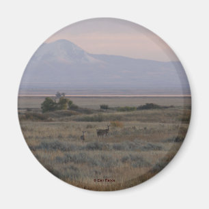 D10 White-tailed Deer and Sweet Grass Hills Magnet