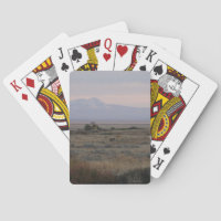 D10 White-tailed Deer and Sweet Grass Hills