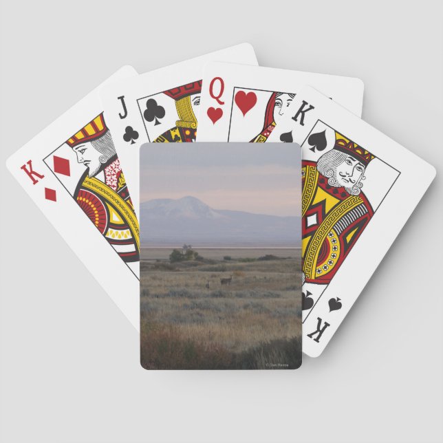 D10 White-tailed Deer and Sweet Grass Hills Playing Cards (Back)