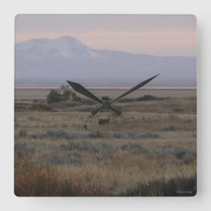 D10 White-tailed Deer Sweetgrass Hills Square Wall Clock