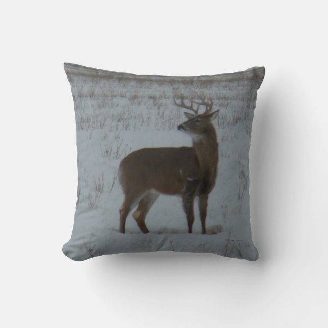 D11 White-tailed Deer Buck in Snow Cushion (Front)