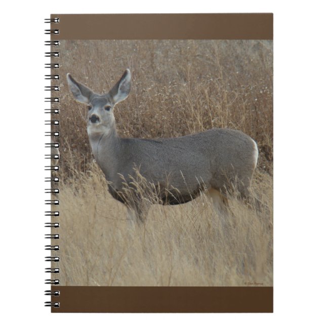 D14 Mule Deer Doe Notebook (Front)
