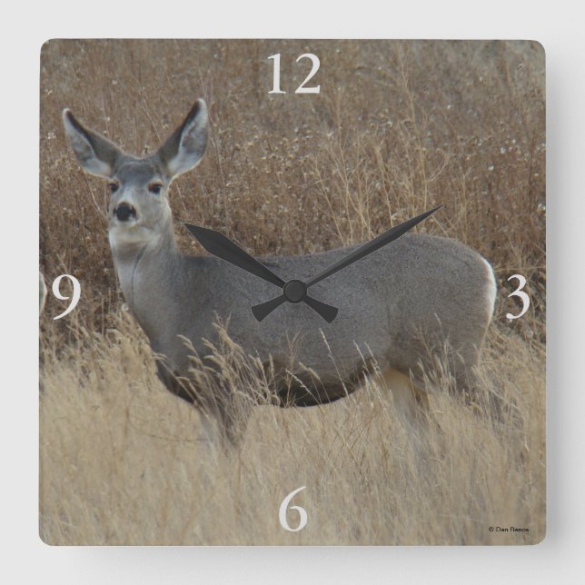 D14 Mule Deer Doe Square Wall Clock (Front)