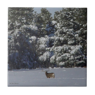 D17 Mule Deer Buck in Snowy Spruce Trees Ceramic Tile