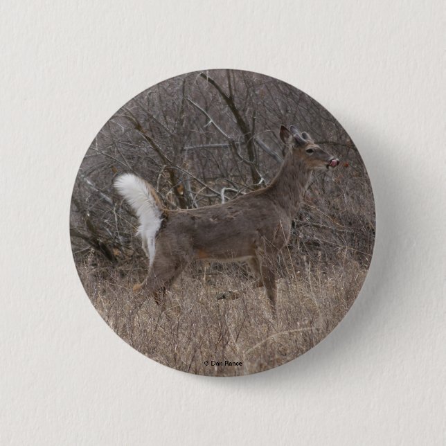 D1 White-tailed  Deer 6 Cm Round Badge (Front)
