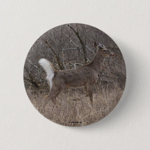 D1 White-tailed Deer 6 Cm Round Badge