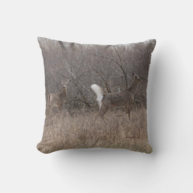 D1 White-tailed Deer Spring Bucks Cushion (Front)