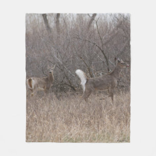 D1 White-tailed Deer Spring Bucks in Brush Fleece Blanket