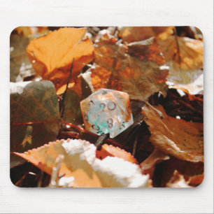 D20 Dice In Autumn Coloured Leaves Mouse Pad