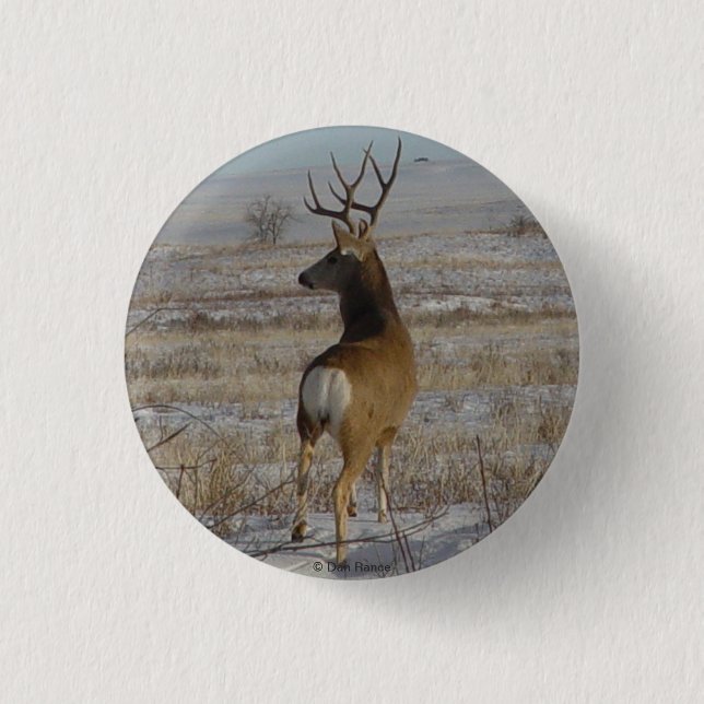 D20 Mule Deer Buck in Snow 3 Cm Round Badge (Front)