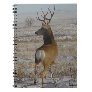 D20 Mule Deer Buck in Snow Notebook
