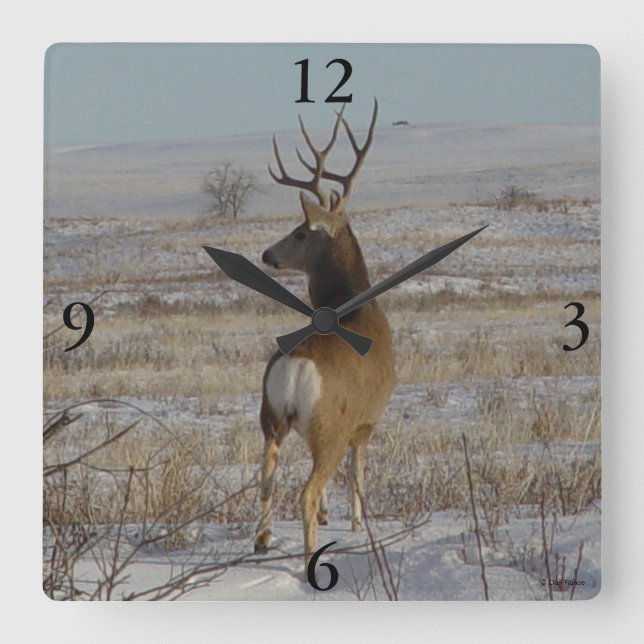 D20 Mule Deer Buck in Snow Square Wall Clock (Front)