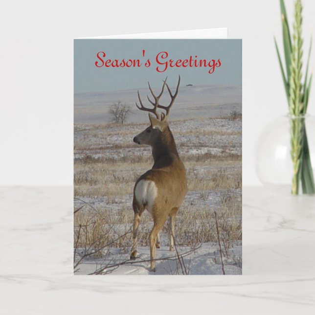 D20 Mule Deer Buck in the Snow Holiday Card (Front)