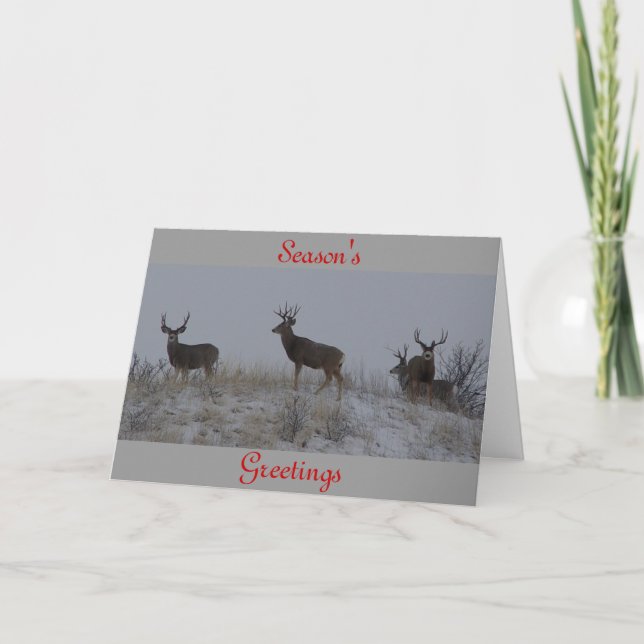 D21 Mule Deer Bucks Holiday Card (Front)