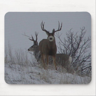 D21b Mule Deer Bucks Mouse Pad