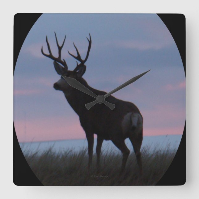 D22 Mule Deer Buck Sunrise Buck Square Wall Clock (Front)