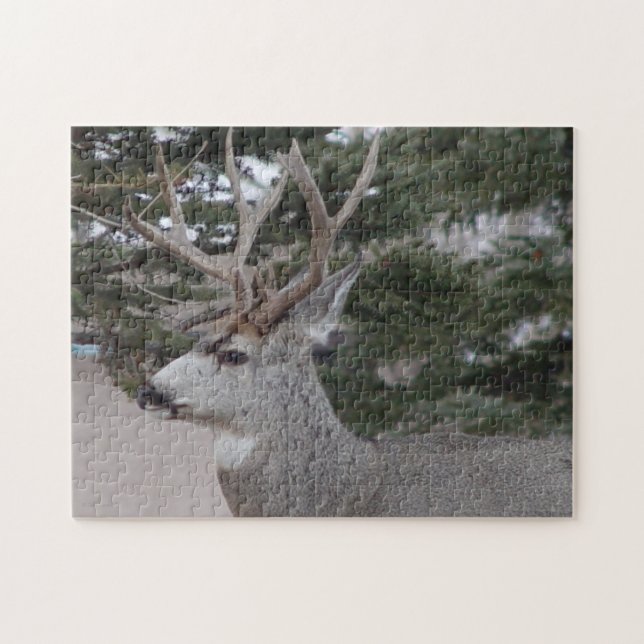 D25 Mule Deer Buck Jigsaw Puzzle (Horizontal)