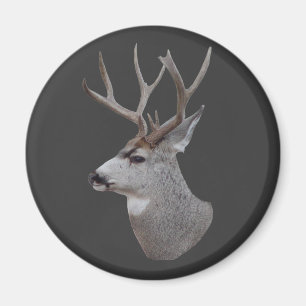D27 Mule Deer Buck Head Magnet