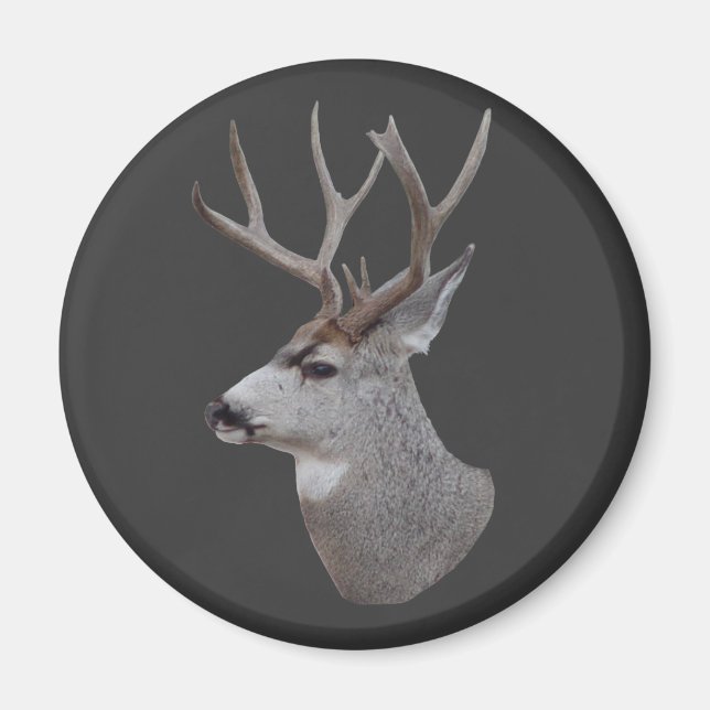 D27 Mule Deer Buck Head Magnet (Front)