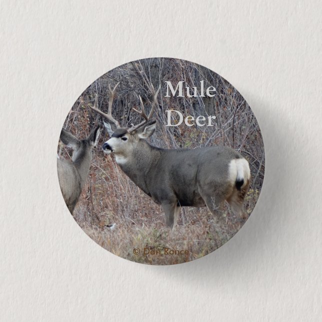 D29 Mule Deer 3 Cm Round Badge (Front)