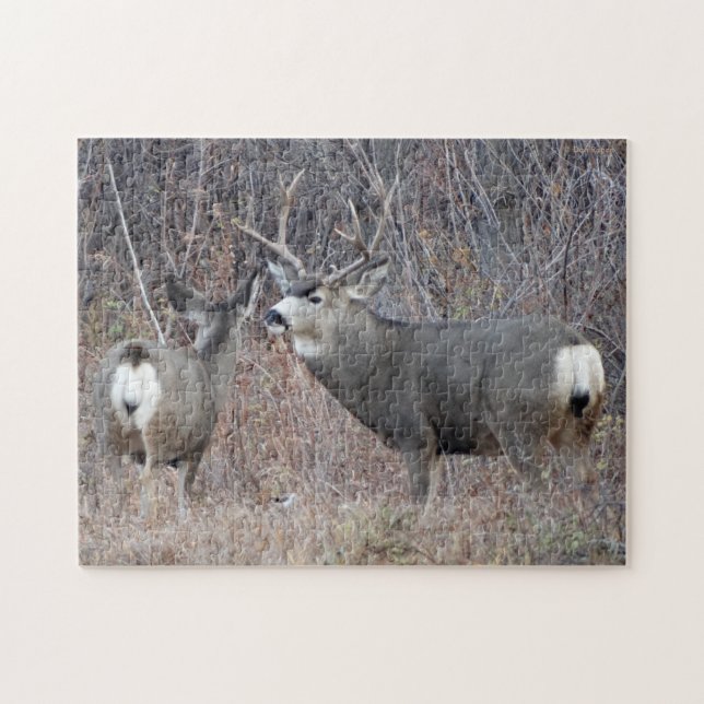 D29 Mule Deer Buck and Doe Jigsaw Puzzle (Horizontal)