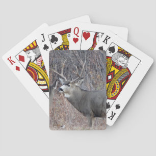 D29 Mule Deer Buck Playing Cards