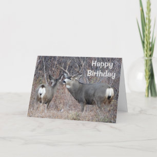 D29 Mule Deer Card
