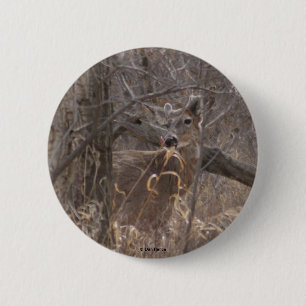 D2 White-tailed Deer 6 Cm Round Badge