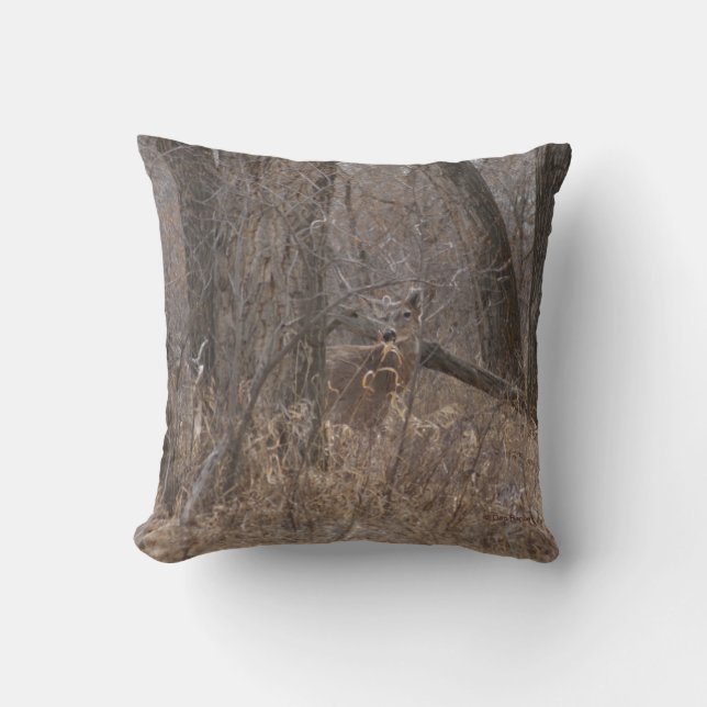 D2 White-tailed Deer in Cottonwood Trees Cushion (Front)