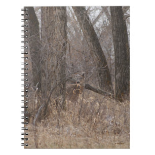 D2 White-tailed Deer in Cottonwood Trees Notebook