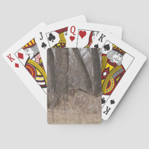 D2 White-tailed Deer in Cottonwood Trees Playing Cards