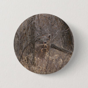 D2 Whitetail Deer Spring Buck in Cottonwood Trees 6 Cm Round Badge