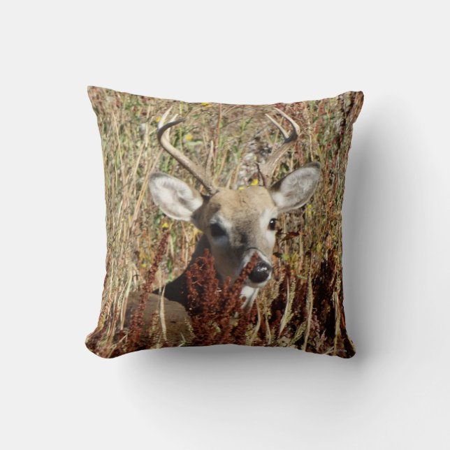 D31 White-tailed Deer in the Weeds Cushion (Front)
