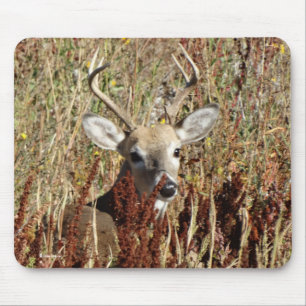 D31 White-tailed Deer in the Weeds Mouse Pad