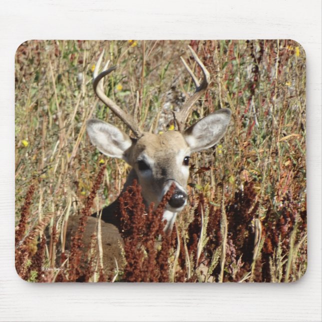 D31 White-tailed Deer in the Weeds Mouse Pad (Front)