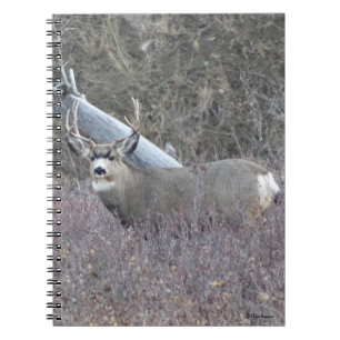 D32 Mule Deer Buck Notebook