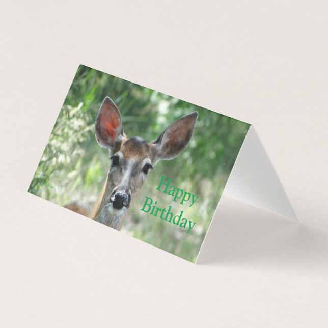 D33 White-tailed Deer Doe birthday card (Front)