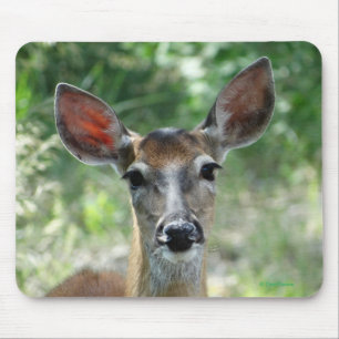 D33 White-tailed Deer Doe mouse pad