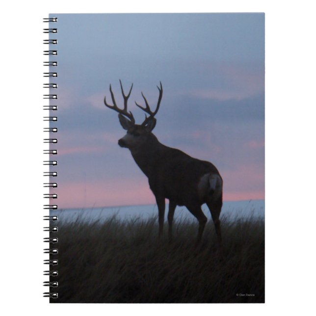 D3 Mule Deer Buck Sunrise Buck Notebook (Front)